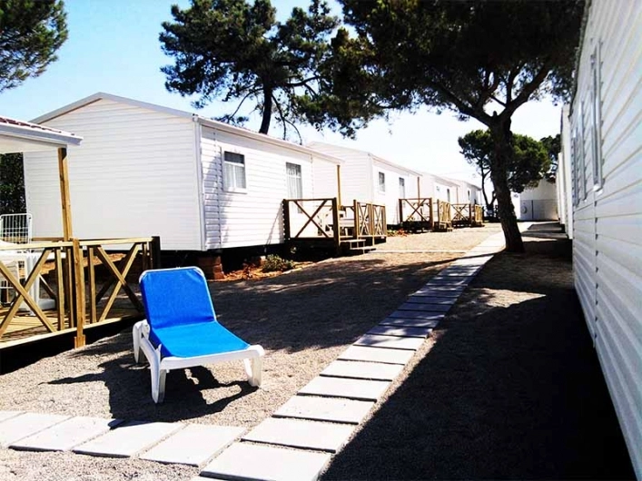 zobacz camping - zdjęcie 5