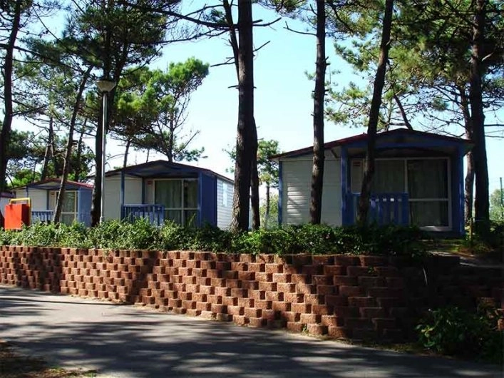 zobacz camping - zdjęcie 11