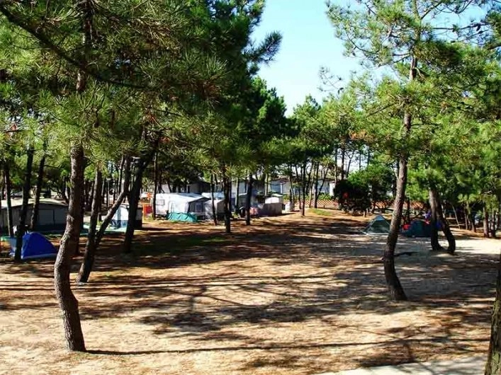 zobacz camping - zdjęcie 8