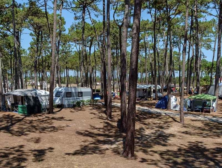 zobacz camping - zdjęcie 3