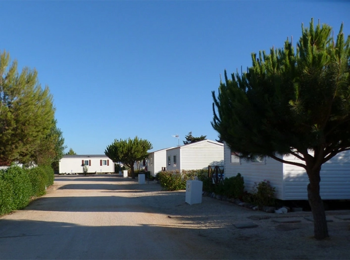 zobacz camping - zdjęcie 10