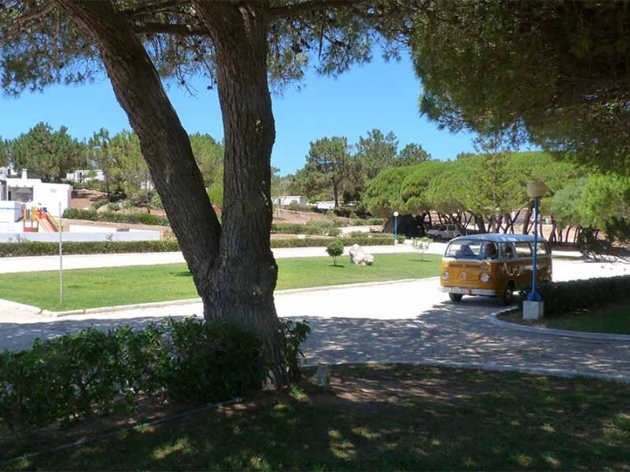 zobacz camping - zdjęcie 4