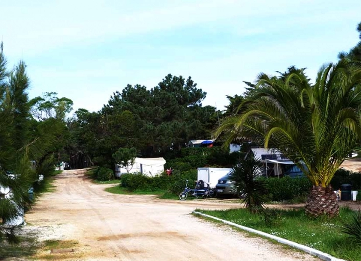 zobacz camping - zdjęcie 2