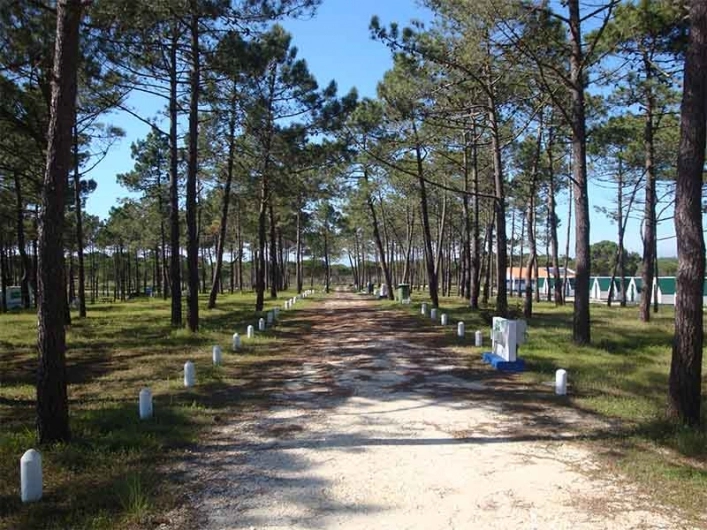 zobacz camping - zdjęcie 3