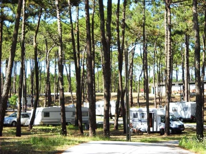 zobacz camping - zdjęcie 6
