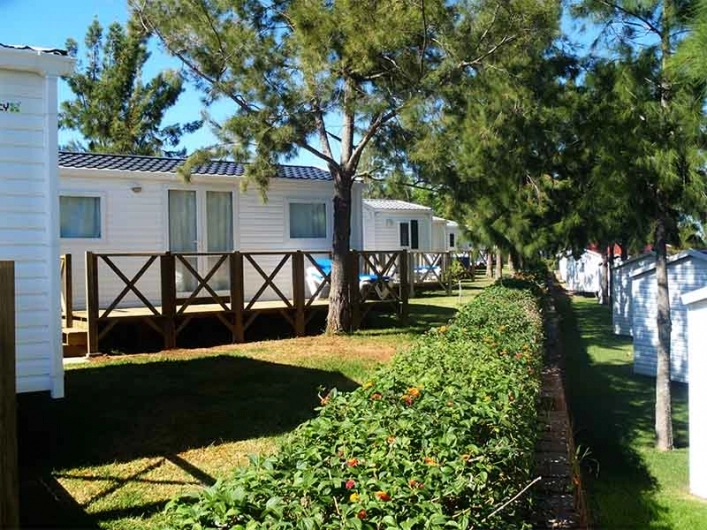 zobacz camping - zdjęcie 10