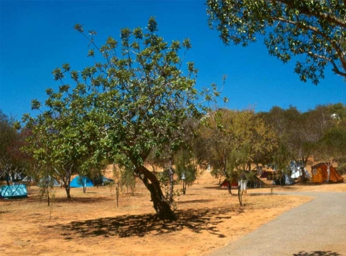 zobacz camping - zdjęcie 8