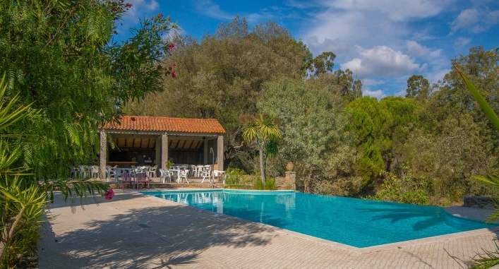 zobacz camping - zdjęcie 14