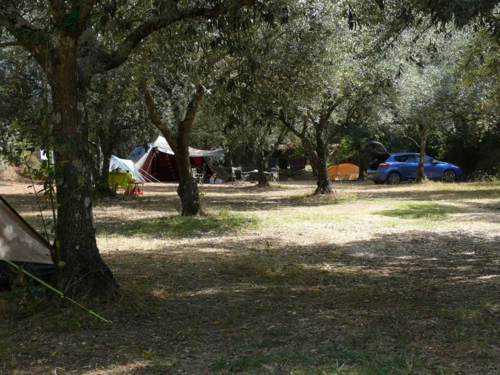 zobacz camping - zdjęcie 7