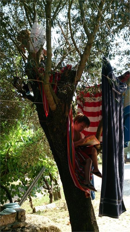 zobacz camping - zdjęcie 12