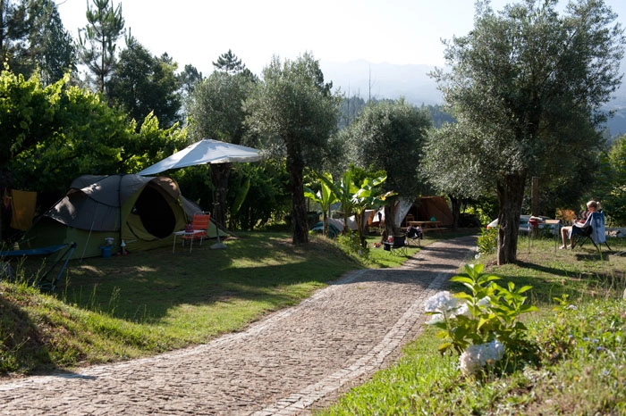 zobacz camping - zdjęcie 4