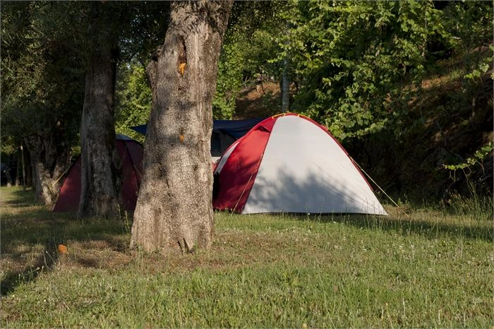 zobacz camping - zdjęcie 1