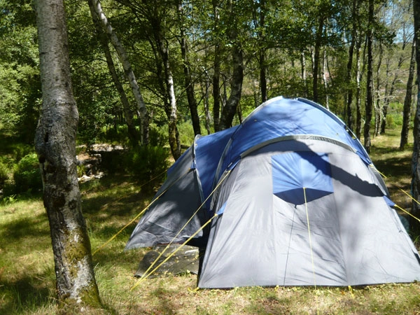 zobacz camping - zdjęcie 9