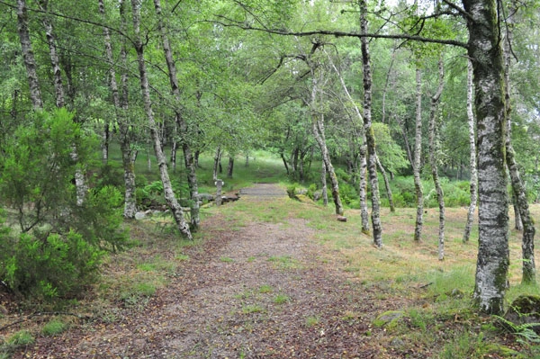 zobacz camping - zdjęcie 8