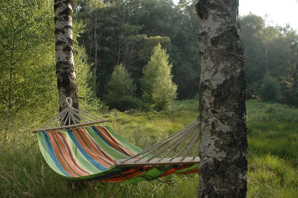 zobacz camping - zdjęcie 5