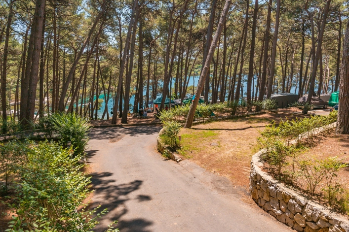 Kemping Bijar - zdjęcie 2