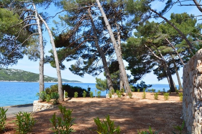 zobacz camping - zdjęcie 10