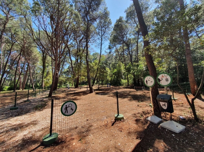 zobacz camping - zdjęcie 59