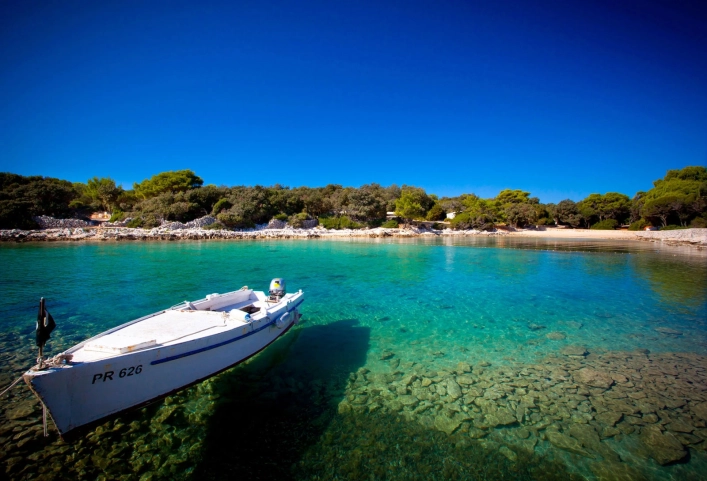 zobacz camping - zdjęcie 29