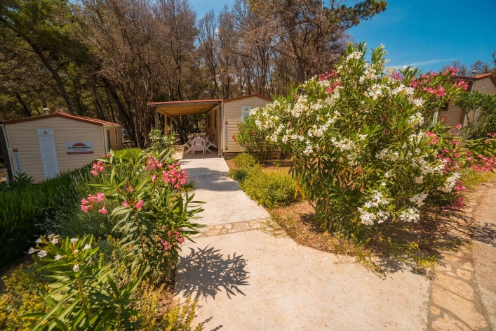 zobacz camping - zdjęcie 21