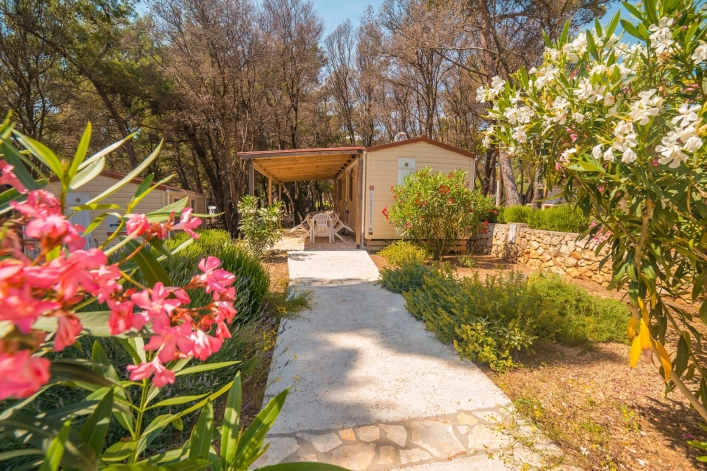 zobacz camping - zdjęcie 18