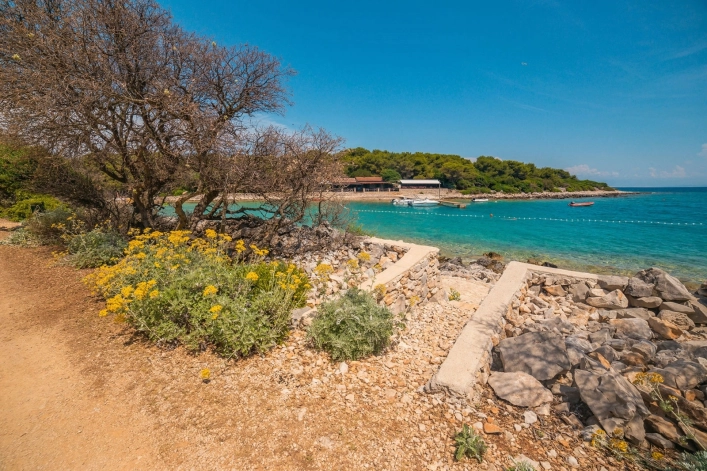 zobacz camping - zdjęcie 10