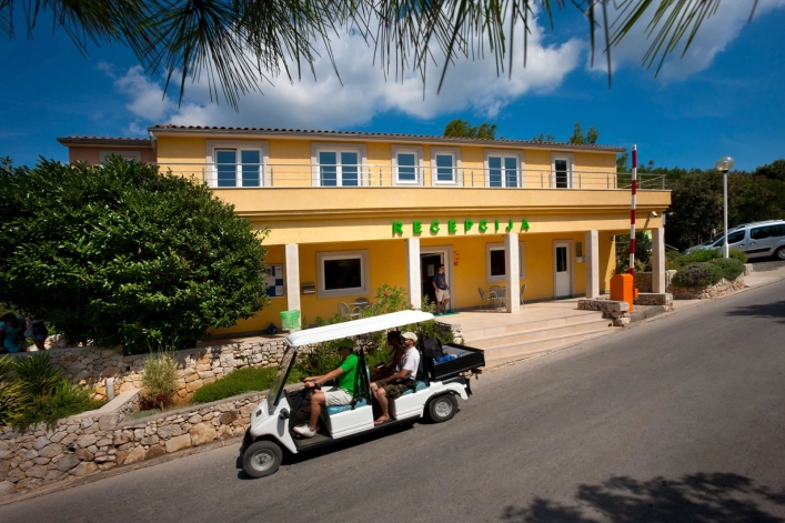 zobacz camping - zdjęcie 24