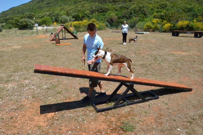 zobacz camping - zdjęcie 22