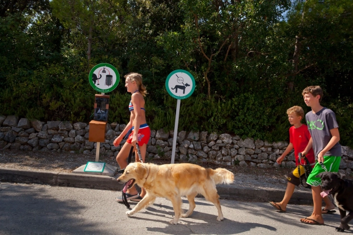 zobacz camping - zdjęcie 21