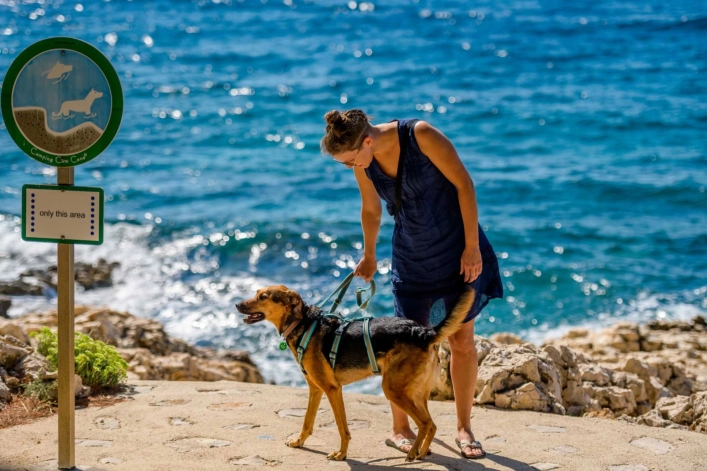 zobacz camping - zdjęcie 20