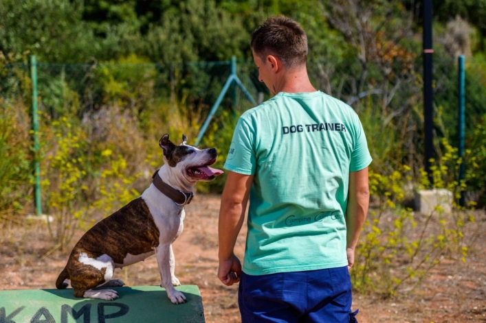 zobacz camping - zdjęcie 19