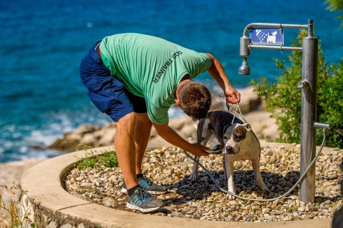zobacz camping - zdjęcie 18