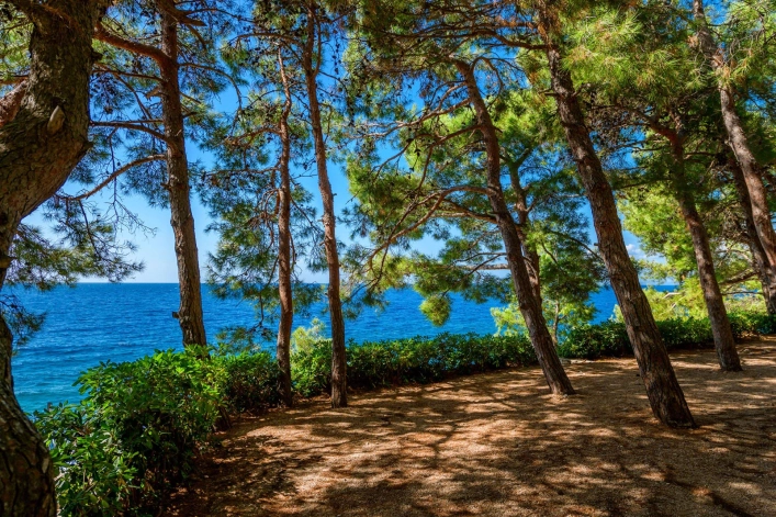 Kemping Slatina - zdjęcie 4