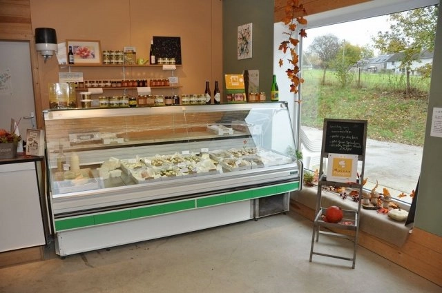 zobacz camping - zdjęcie 6