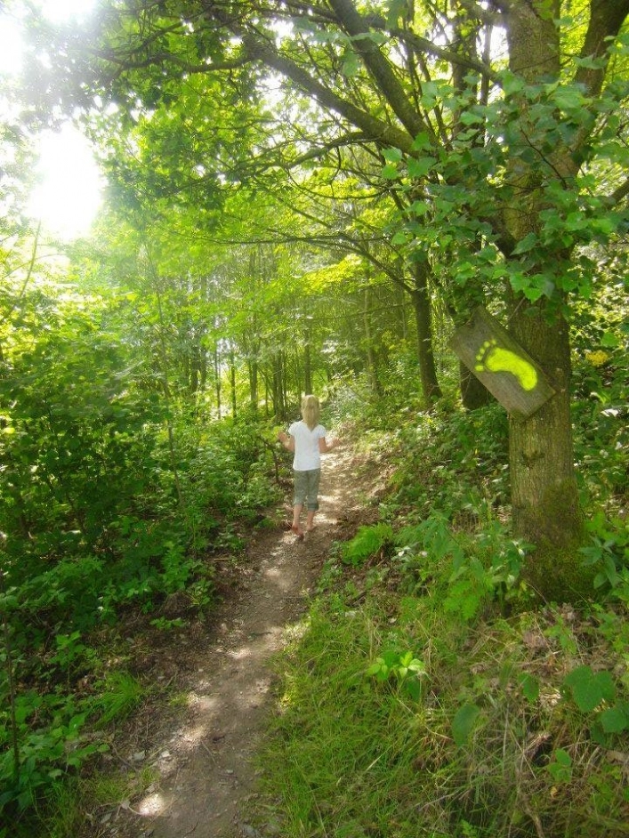 zobacz camping - zdjęcie 7