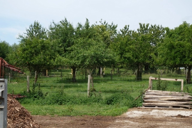 zobacz camping - zdjęcie 8