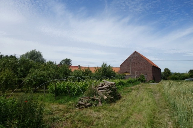 zobacz camping - zdjęcie 3