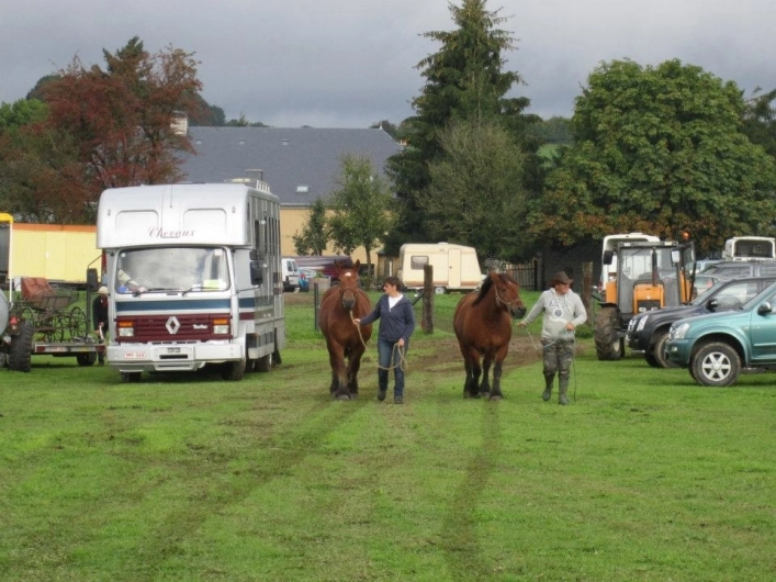 Camping A La Ferme - Martue - zdjęcie 4