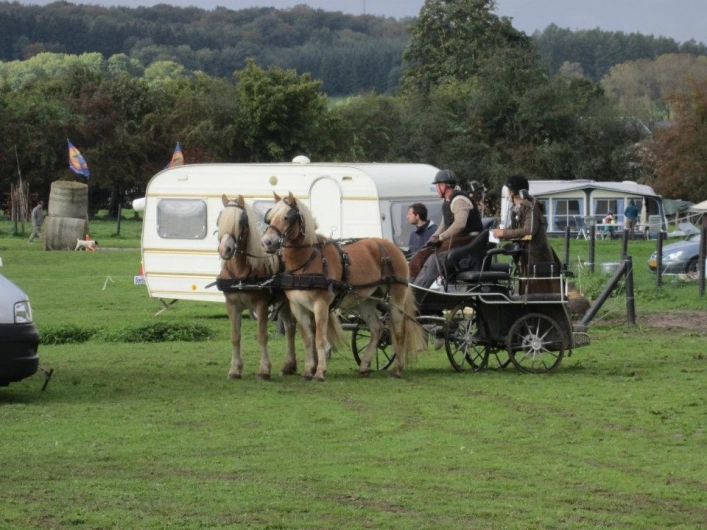 zobacz camping - zdjęcie 4