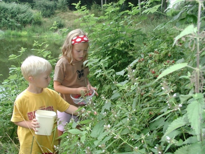 zobacz camping - zdjęcie 3