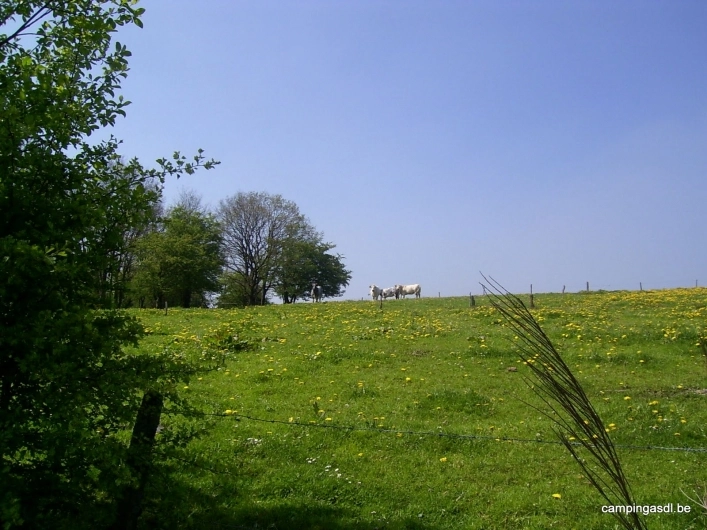 Camping Aux Sources de Lescheret - zdjęcie 1