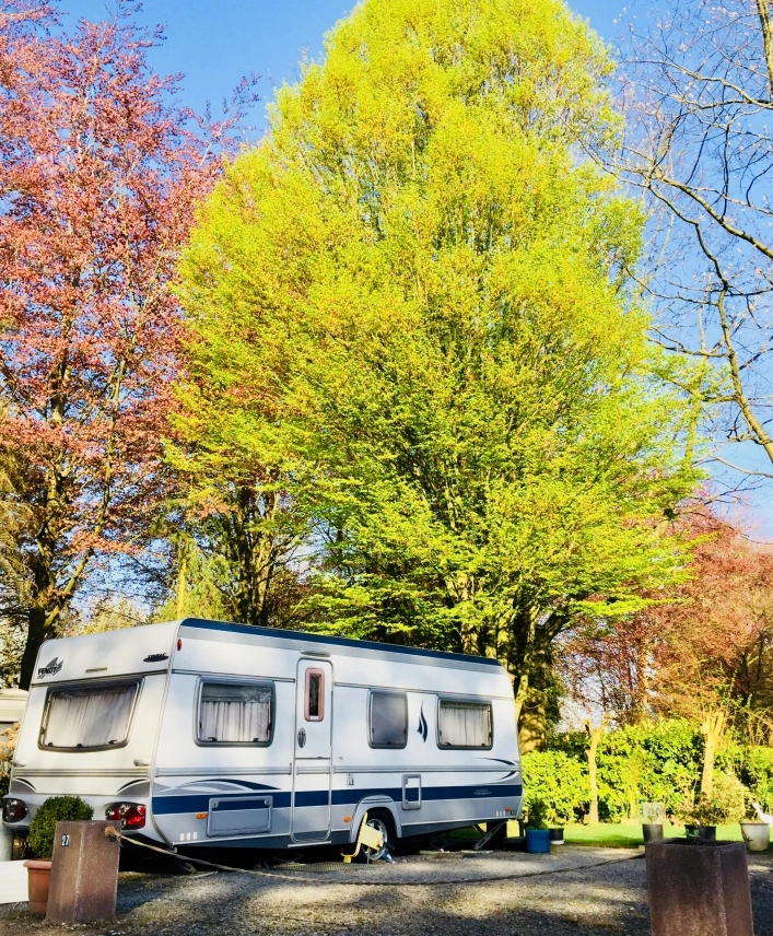 zobacz camping - zdjęcie 7