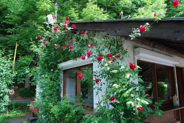 zobacz camping - zdjęcie 17