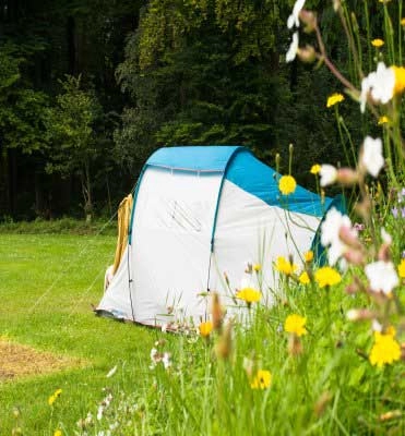 zobacz camping - zdjęcie 14