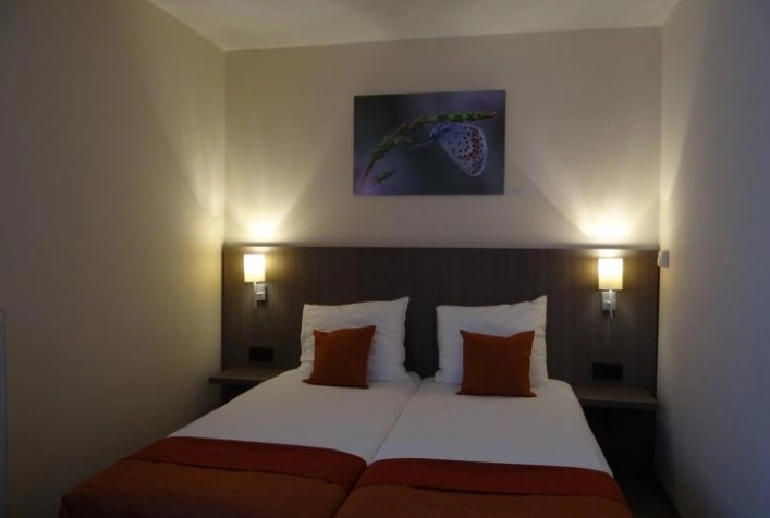 zobacz camping - zdjęcie 10