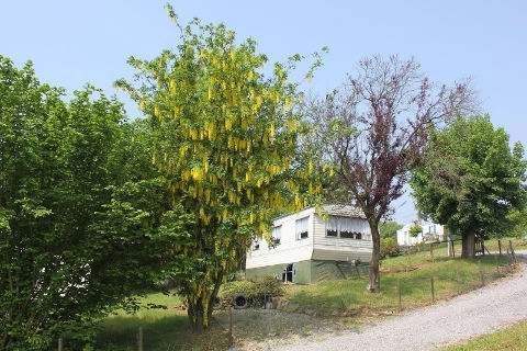 zobacz camping - zdjęcie 8