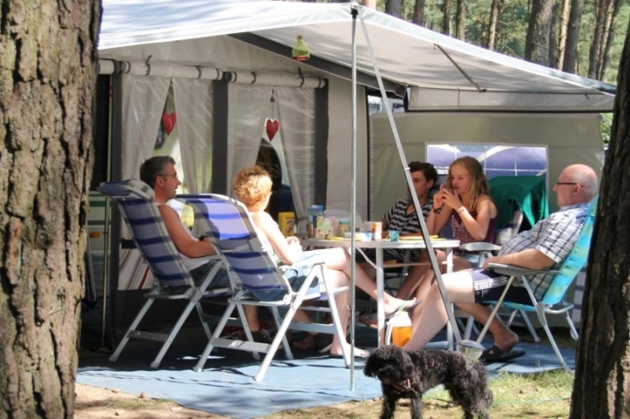 zobacz camping - zdjęcie 16
