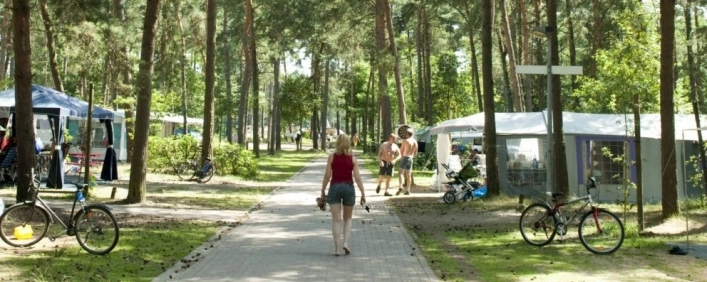 Camping De Lilse Bergen - zdjęcie 1