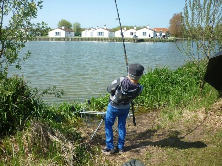 zobacz camping - zdjęcie 14