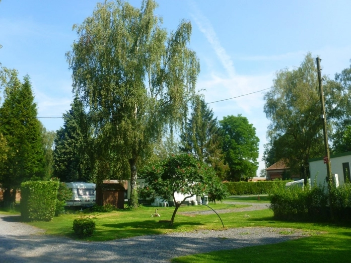 zobacz camping - zdjęcie 6